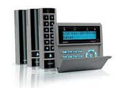 Dolor sit amet conse ctetur  adipisicing